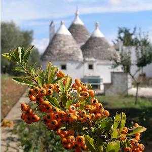 Valle d Itria, truli