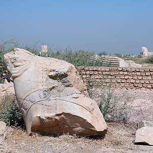 Súsy, zbytky paláce Apadana