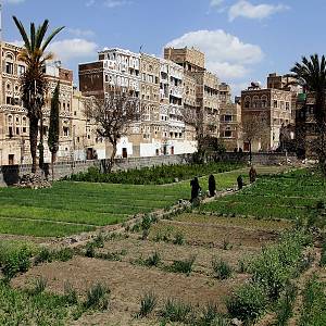 Sanaá - historické zahrady